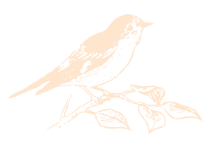 Perch logo Bird Cream